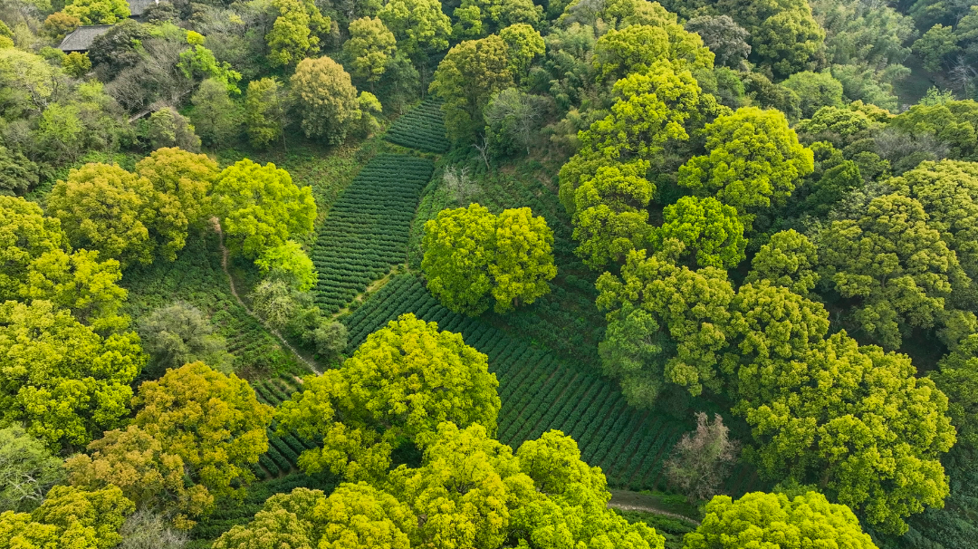 微信圖片_20250317135041.png 微信圖片_20250317135041.png